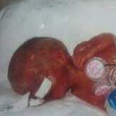 Team Page: Team Grace